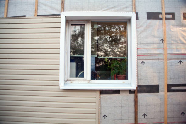 Best Siding Repair  in Henagar, AL