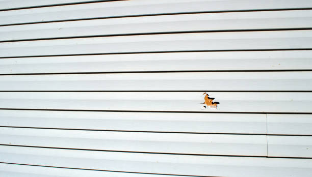 Best Storm Damage Siding Repair  in Henagar, AL