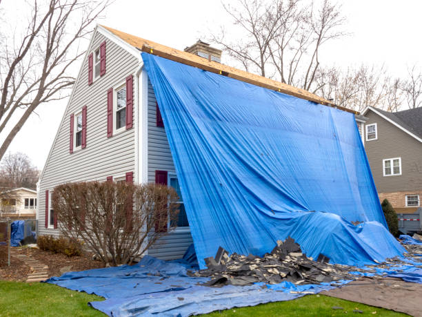Best Wood Siding Installation  in Henagar, AL