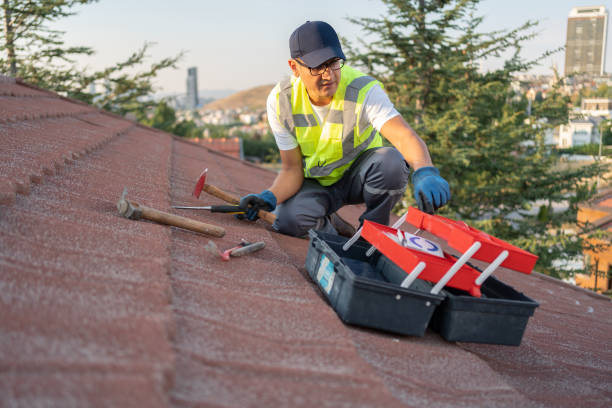 Best Residential Vinyl Siding Installation  in Henagar, AL